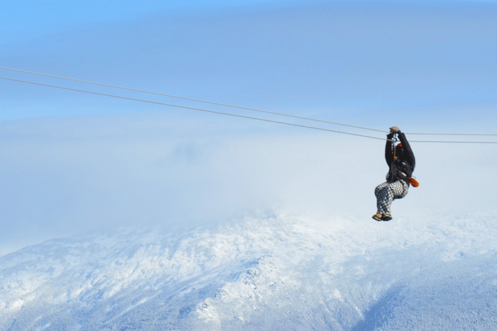 bretton-woods-canopy