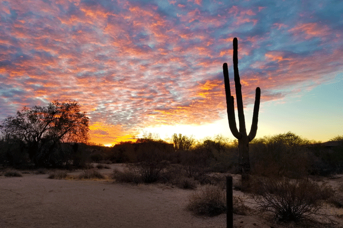 Scottsdale desert travel